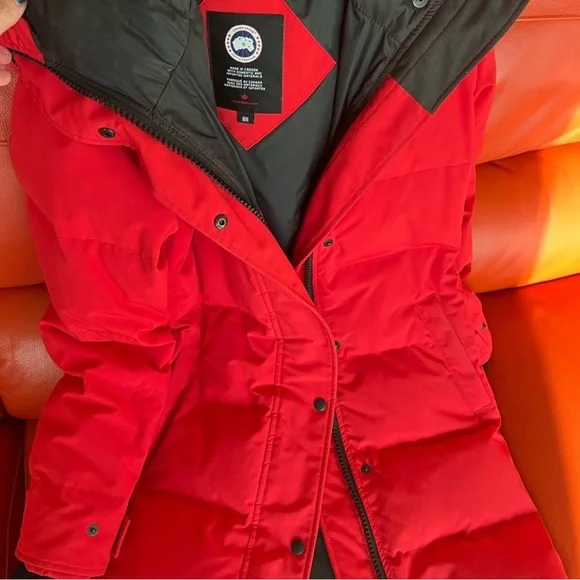 Rare, Authentic Canada Goose